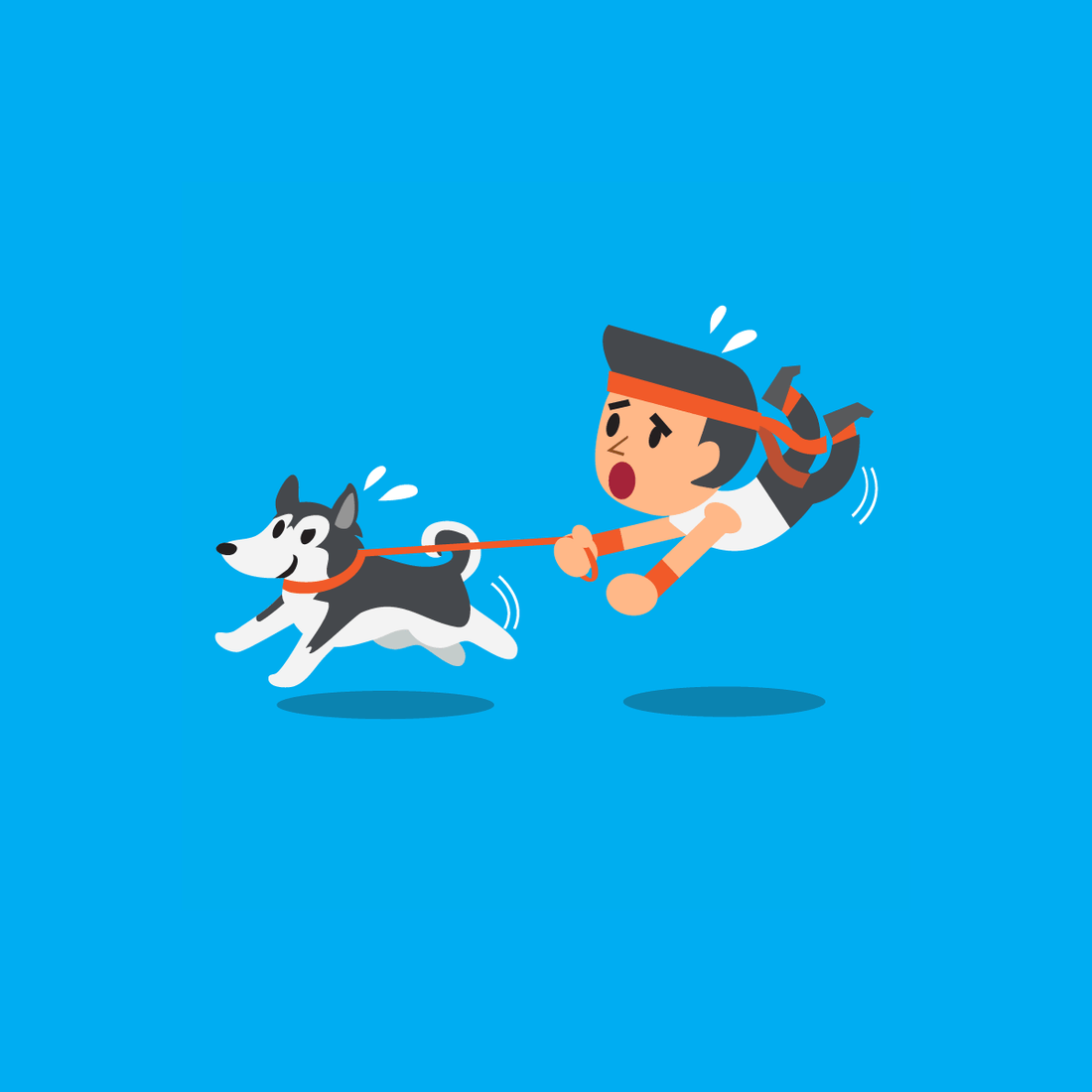 3 Steps to Stop Your Dog from Pulling - McCann Professional Dog Trainers