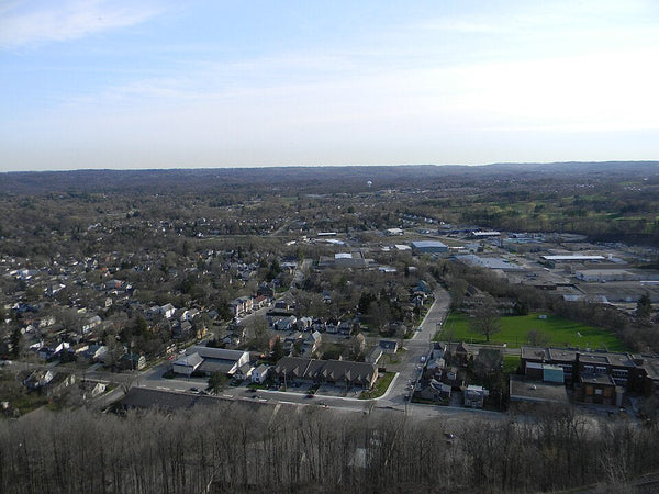 The Dundas Puppy Owner's Secret to a Dog You Can Take Anywhere | Dog Training in Dundas | McCann Professional Dog Trainers