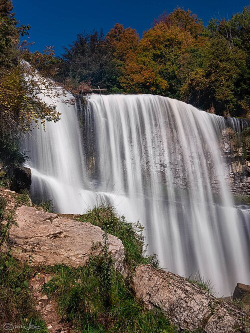 Your Dog Isn't Ignoring You. But Something Else Might Be. | Dog Training in Dundas | McCann Professional Dog Trainers