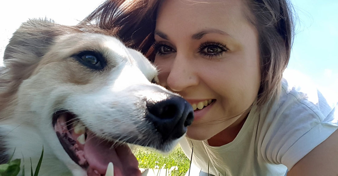 A Well Trained Dog Starts with A Good Human Student! - McCann Professional Dog Trainers