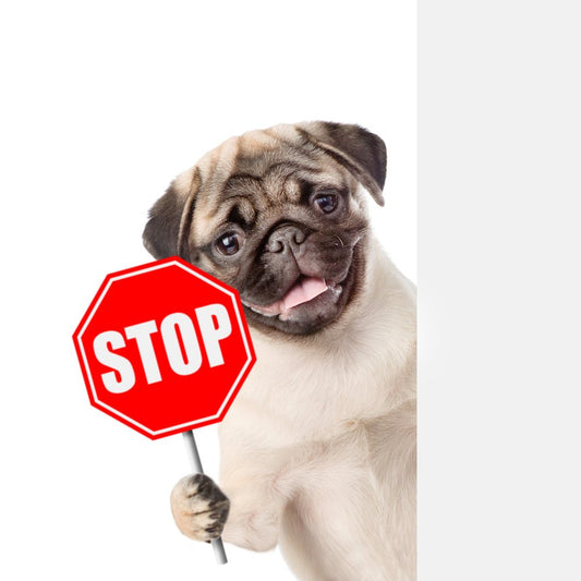 Don't Like It? Just S.T.O.P. it! - McCann Professional Dog Trainers