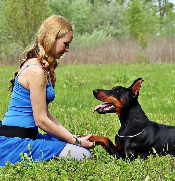 I Never Said I Liked You! The Magic of Relationship in Dogs and Training - McCann Professional Dog Trainers