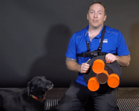 Make a Fidget Spinner for your DOG!!! - McCann Professional Dog Trainers