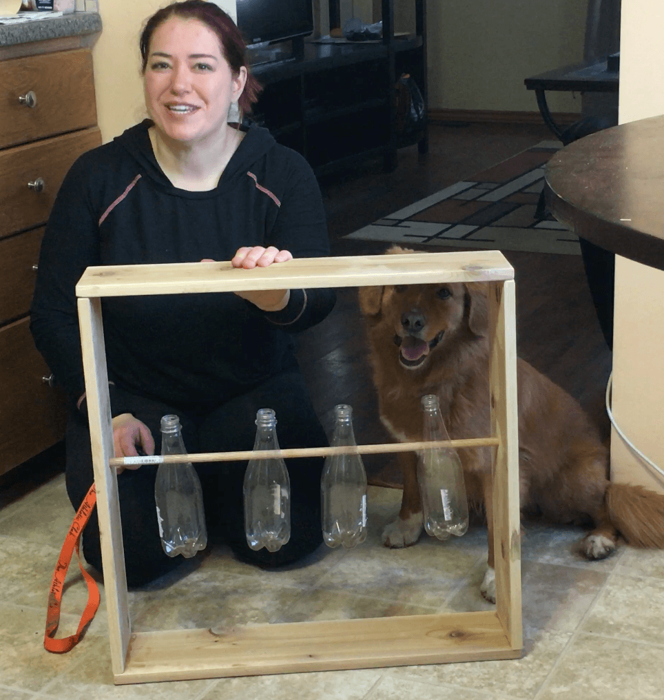 Make a Great Mind Game Toy for your Dog for under $10! - McCann Professional Dog Trainers