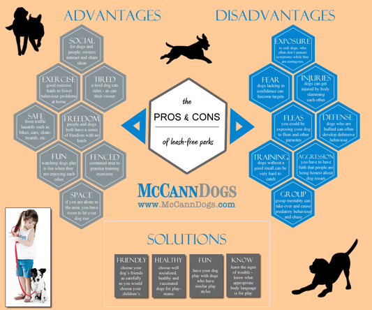 Pros & Cons of Leash-Free Parks - McCann Professional Dog Trainers