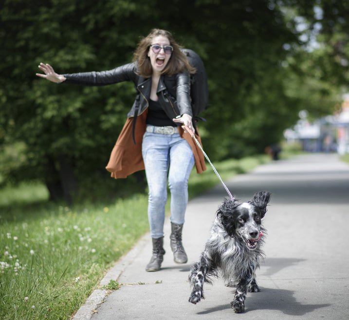 Teach Your Dog Leash Manners Around Dogs - McCann Professional Dog Trainers