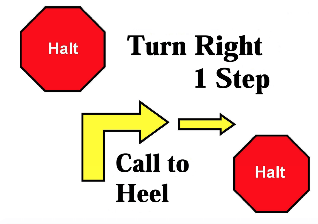 What is Rally? - McCann Professional Dog Trainers