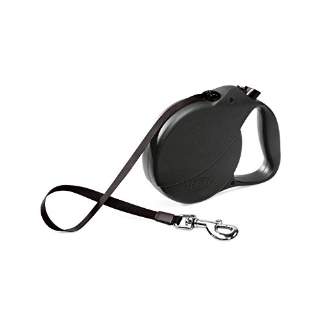 When is it Okay to Use a Retractable Leash? - McCann Professional Dog Trainers