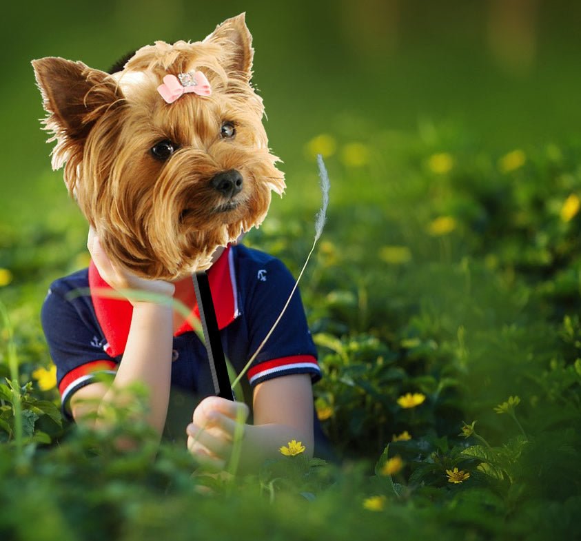 Why Kids are NOT Dogs.... - McCann Professional Dog Trainers