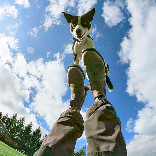 Novice Parkour
