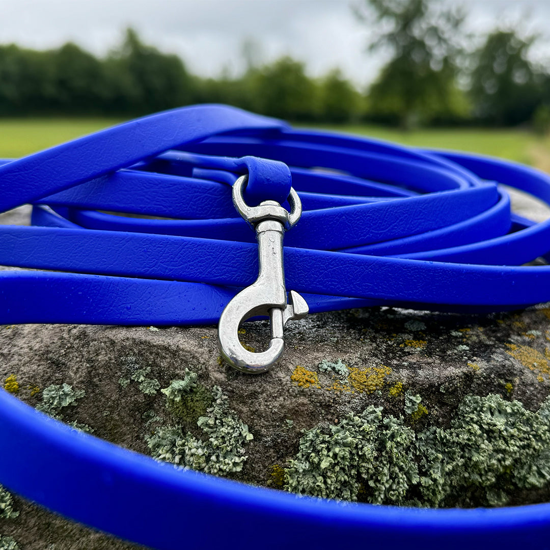 McCann Dog Training Long-Line (21')