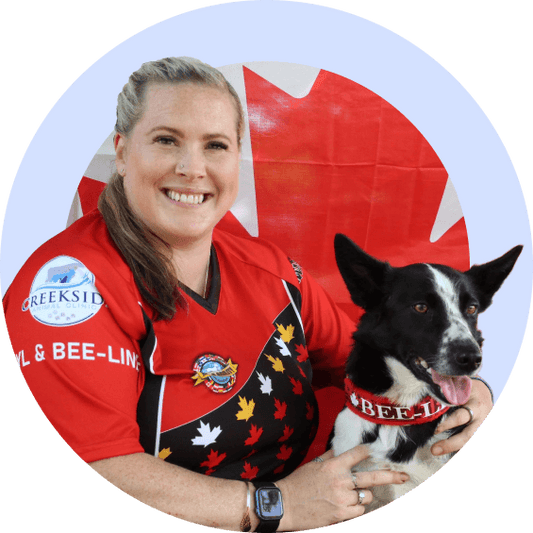 International Handling Class - McCann Professional Dog Trainers