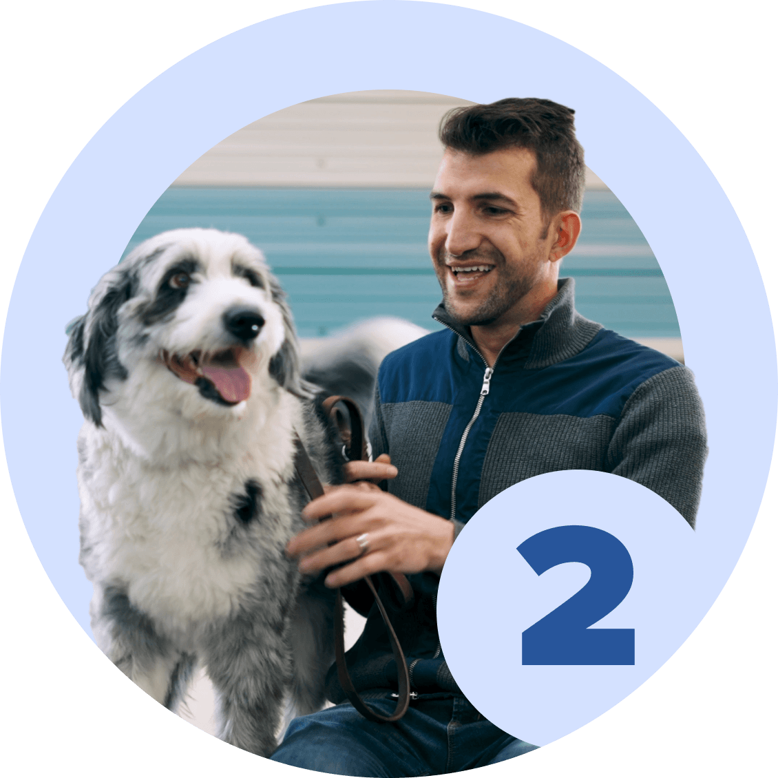 Life Skills 2 - McCann Professional Dog Trainers