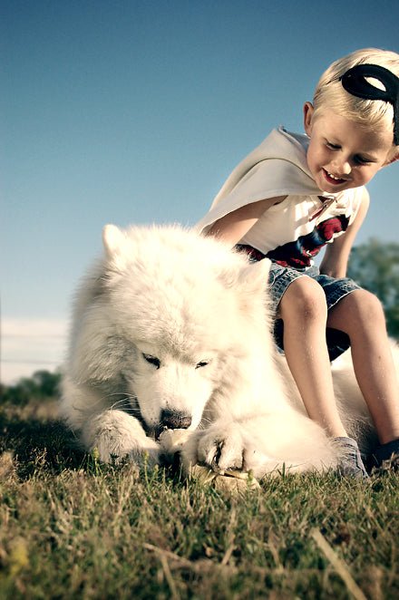 5 Tips to Preventing Dog Bites – Kids and Dogs can be A Winning Combination! - McCann Professional Dog Trainers