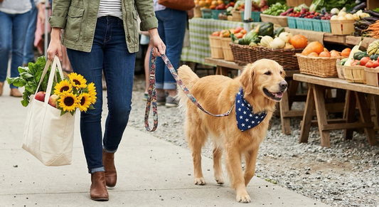 Your Dog Is Practicing Jumping on the Same People Every Week