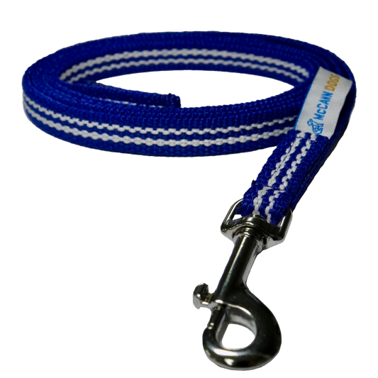 The Puppy House Line: The One Tool That Stops Biting, Jumping, and Stealing Before It Starts