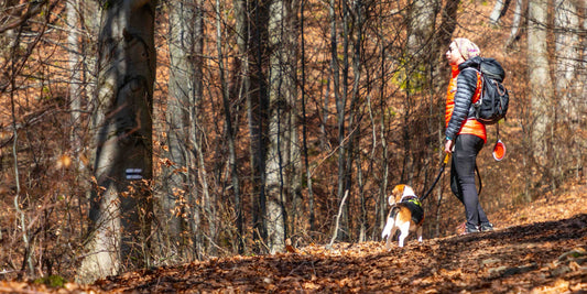 Oakville Has Beautiful Trails. That Doesn't Mean Your Dog Is Ready for Them. | Dog Training in Oakville | McCann Professional Dog Trainers