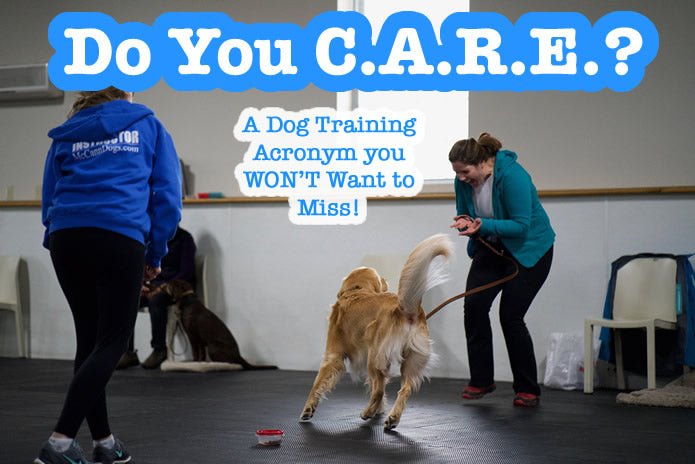 C.A.R.E. - A Measure of Success in Dog Training - McCann Professional Dog Trainers