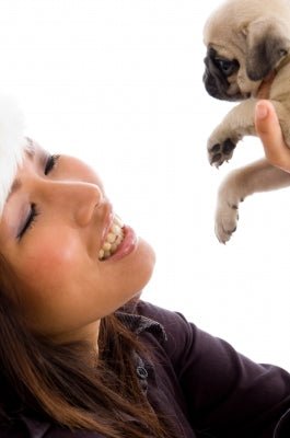 Celebrating With Your Dog - McCann Professional Dog Trainers