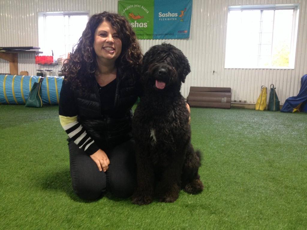 CHCH Morning Live at McCanns - McCann Professional Dog Trainers