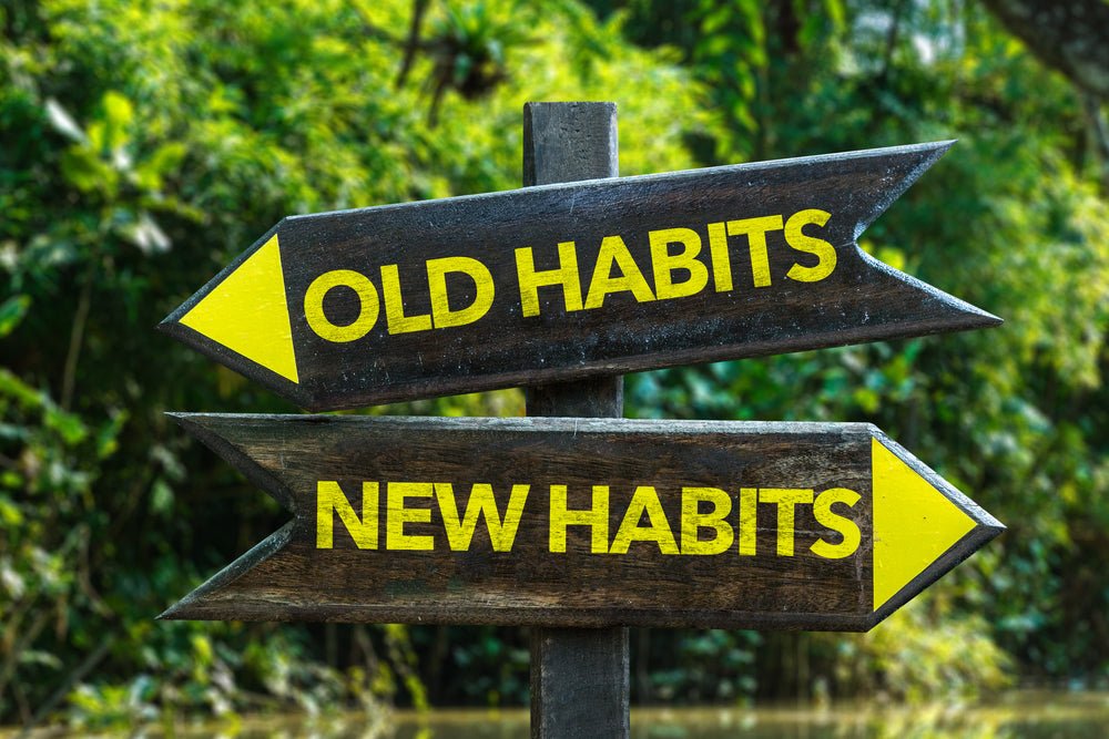 How to Make Training a Habit - McCann Professional Dog Trainers