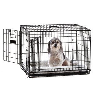 Puppy Proofing Your Life! - McCann Professional Dog Trainers