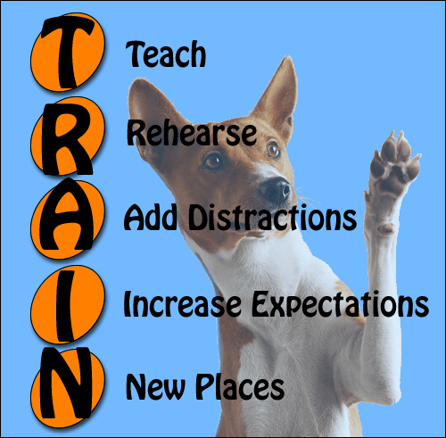 T.R.A.I.N. - Are you a Step Skipper? - McCann Professional Dog Trainers