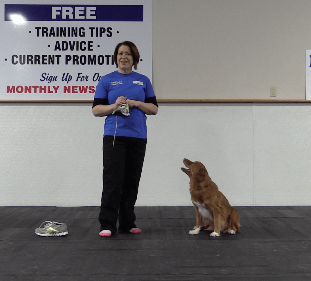 Trick Tuesday: Untie Your Shoe - McCann Professional Dog Trainers