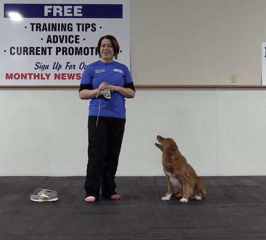 Trick Tuesday: Untie Your Shoe - McCann Professional Dog Trainers