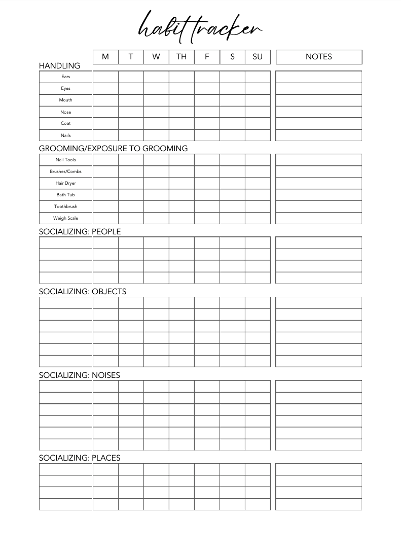 Habit tracker with days of the week and columns for notes on a white background
