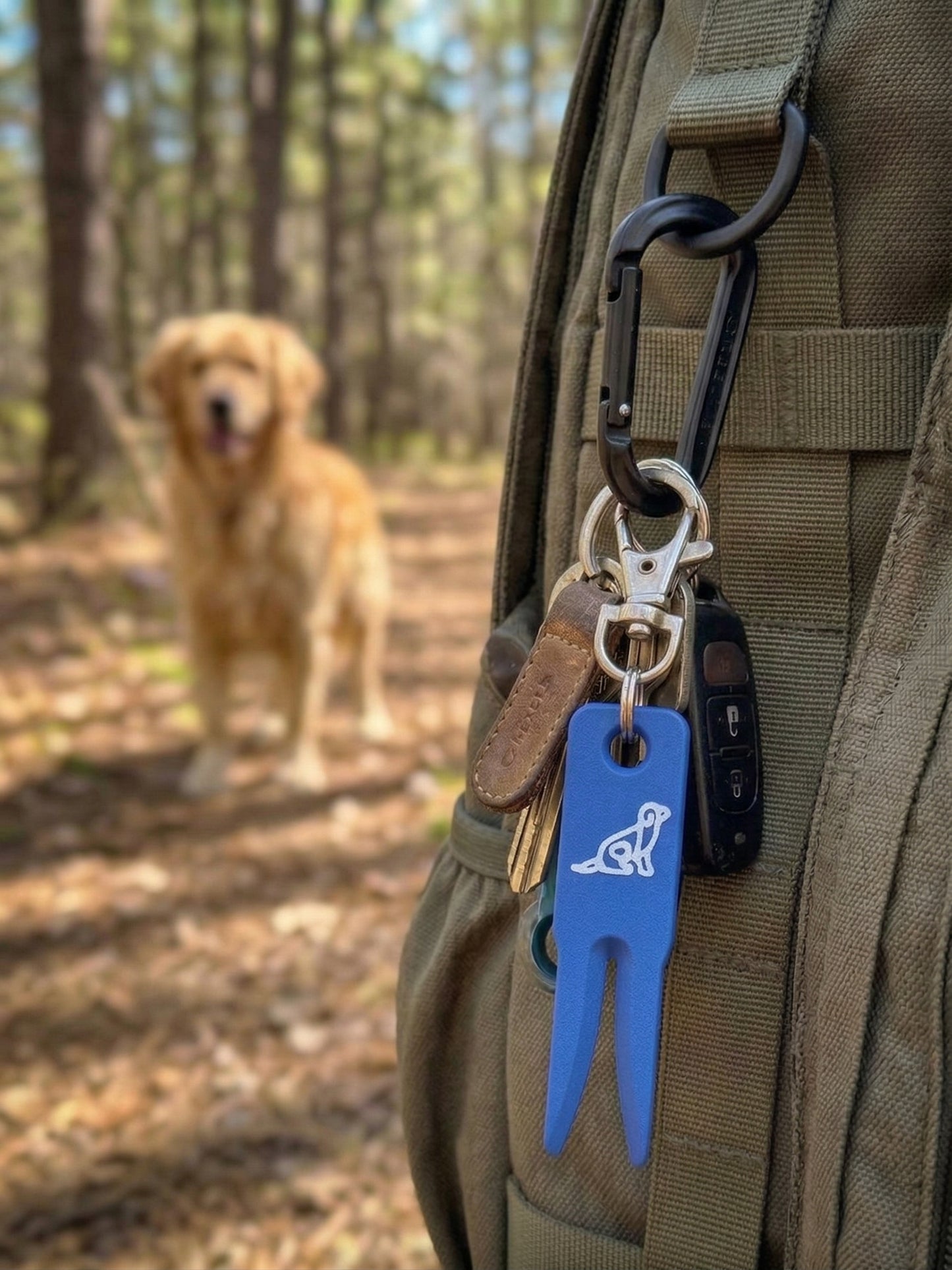 Tick Removal Tool - McCann Professional Dog Trainers