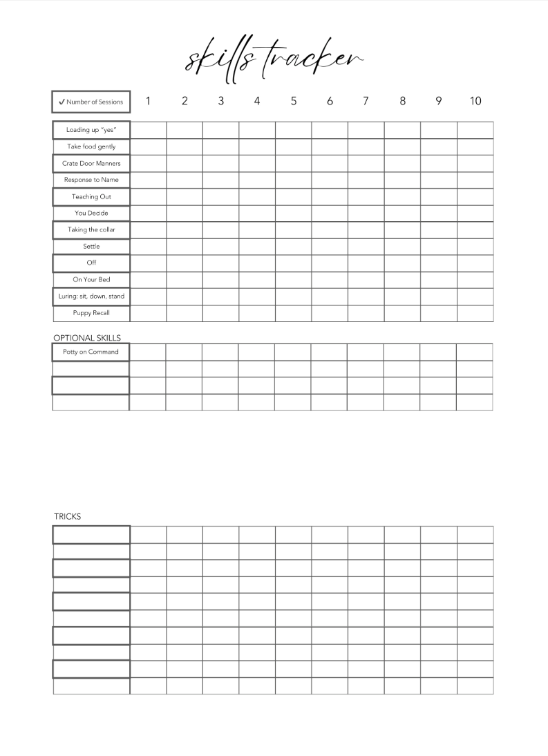 Skills tracker with columns for numbers and text on a white background