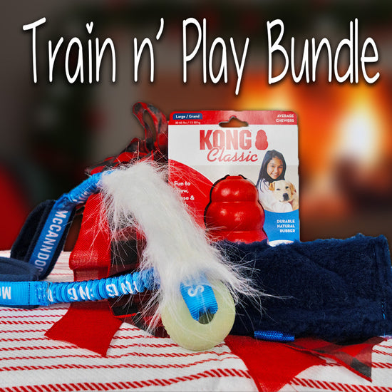 Training Products McCann Professional Dog Trainers