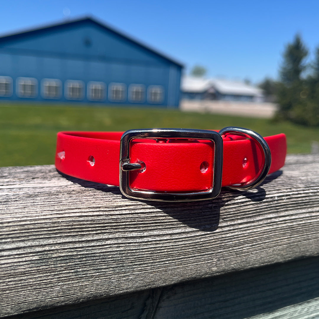 McCann Dogs "O Canada Collar"