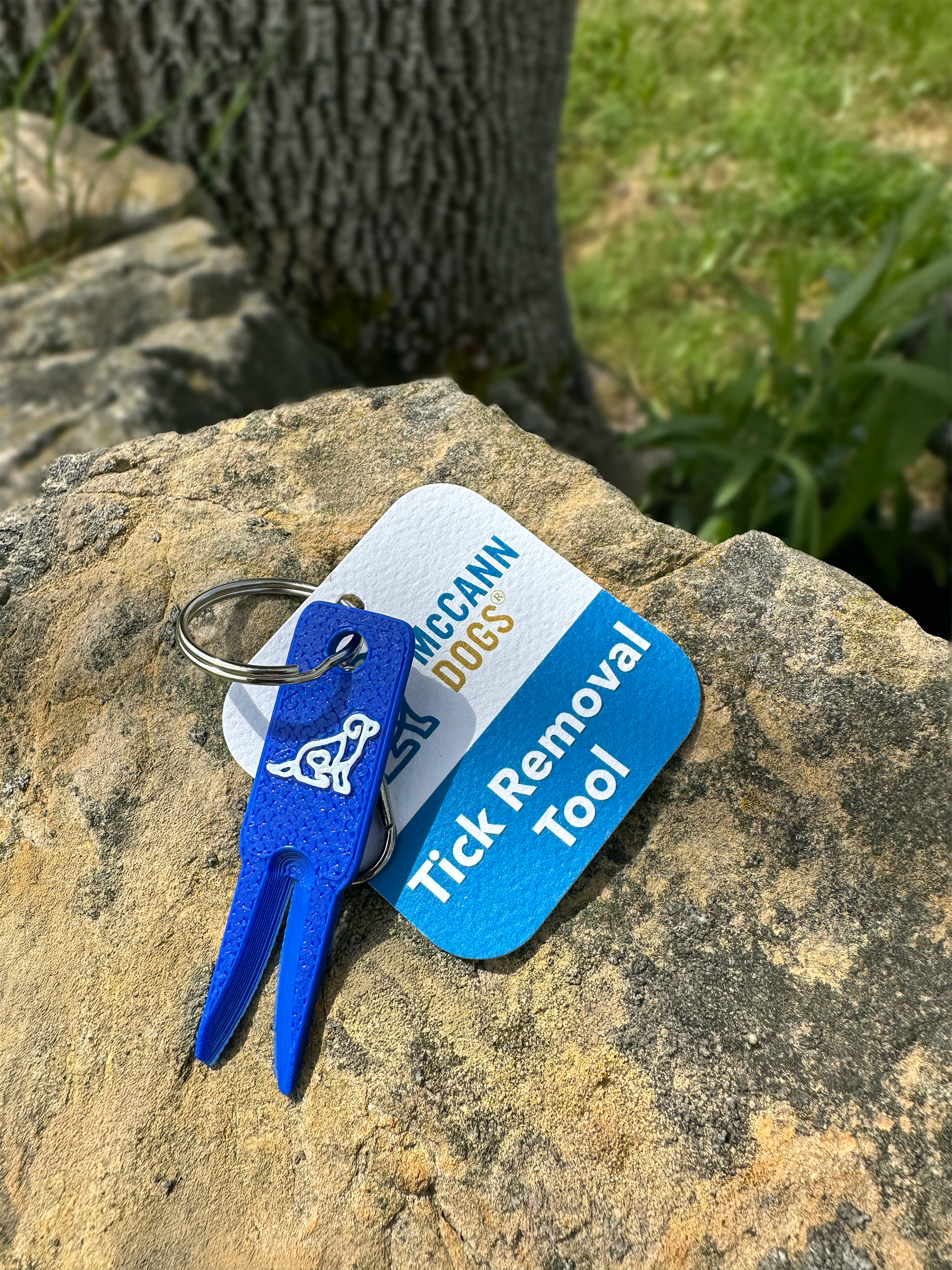 Tick Removal Tool - McCann Professional Dog Trainers