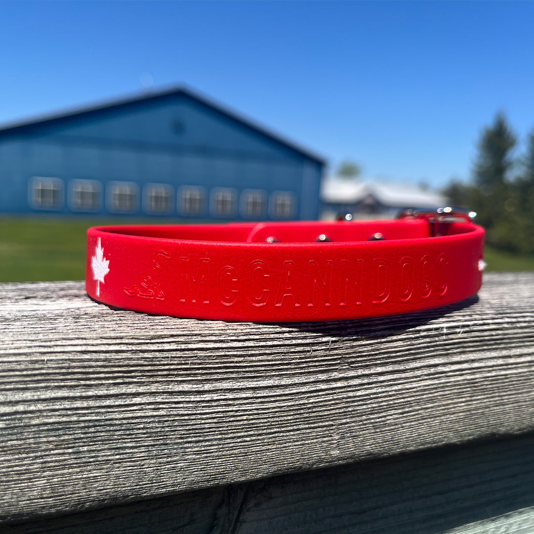 McCann Dogs "O Canada Collar"