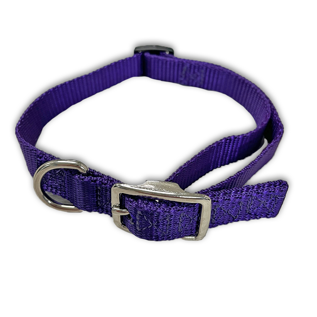 Flat Buckle Dog Collar (Adjustable) - McCann Professional Dog Trainers
