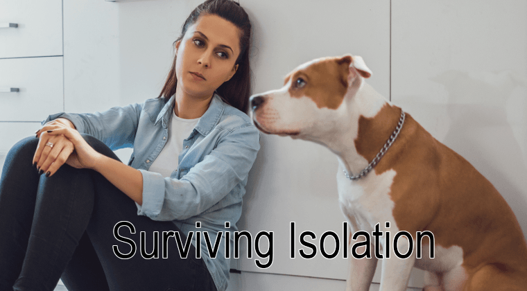 Dog Owners Guide to Surviving Isolation - McCann Professional Dog Trainers