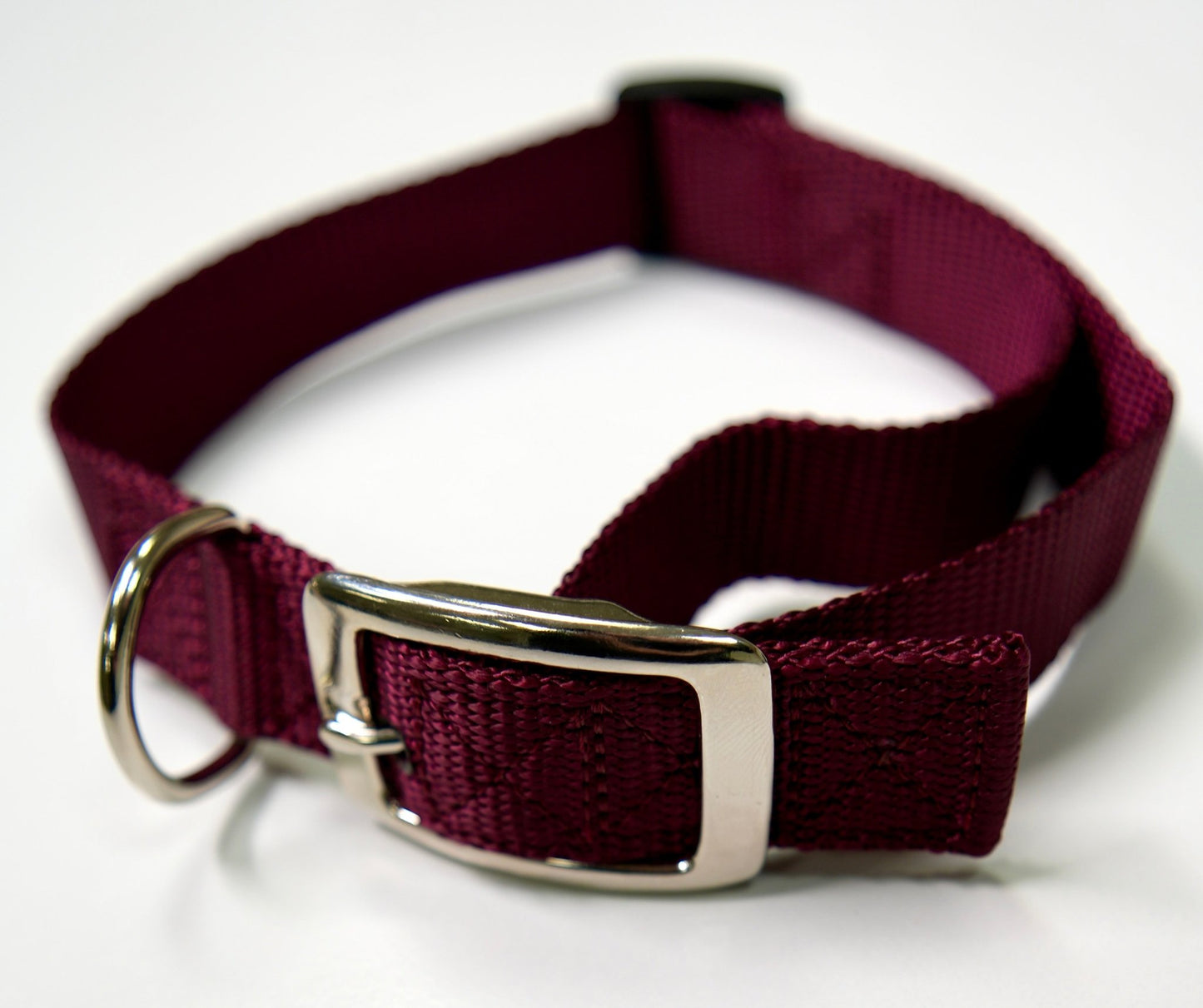 Flat Buckle Dog Collar (Adjustable) - McCann Professional Dog Trainers