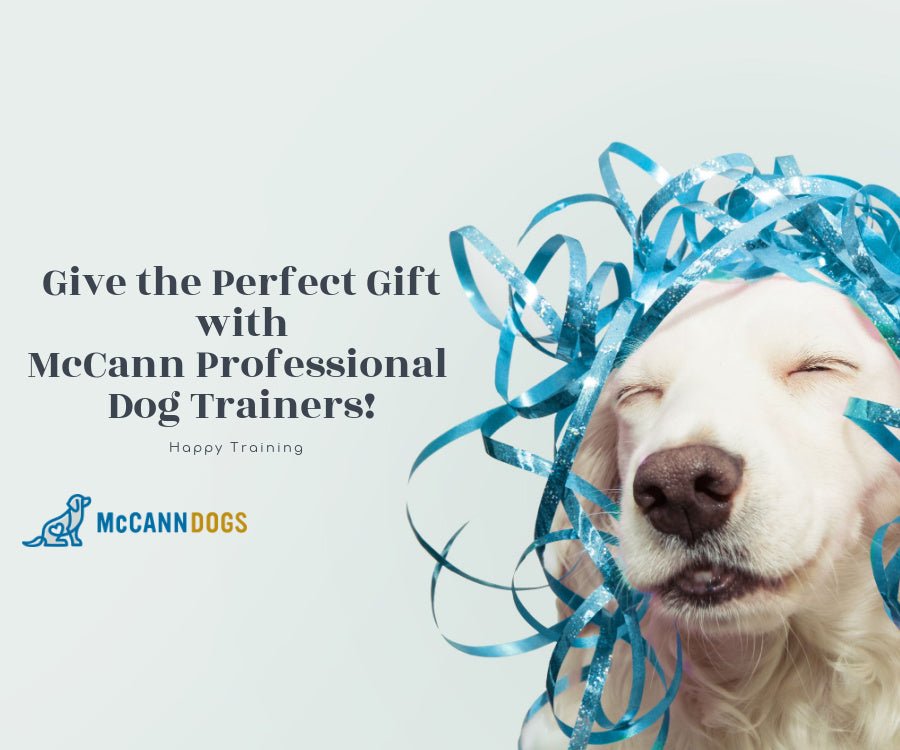 Gift Cards for In-Person Training & Retail Only - McCann Professional Dog Trainers