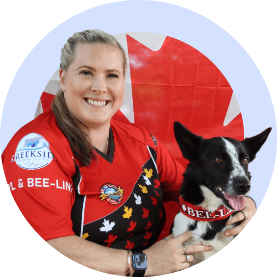 International Handling Class - McCann Professional Dog Trainers