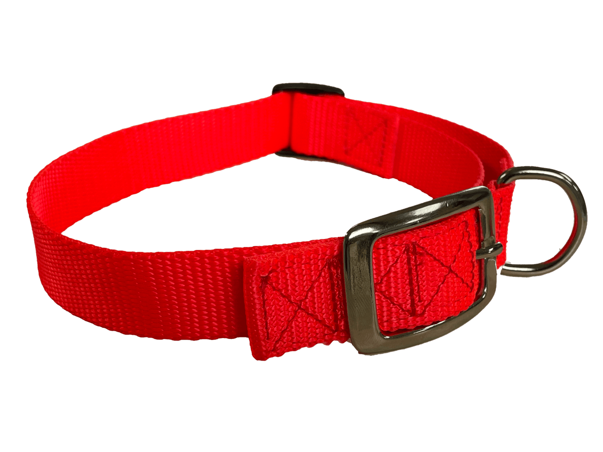 Flat Buckle Dog Collar (Adjustable) McCann Professional Dog Trainers