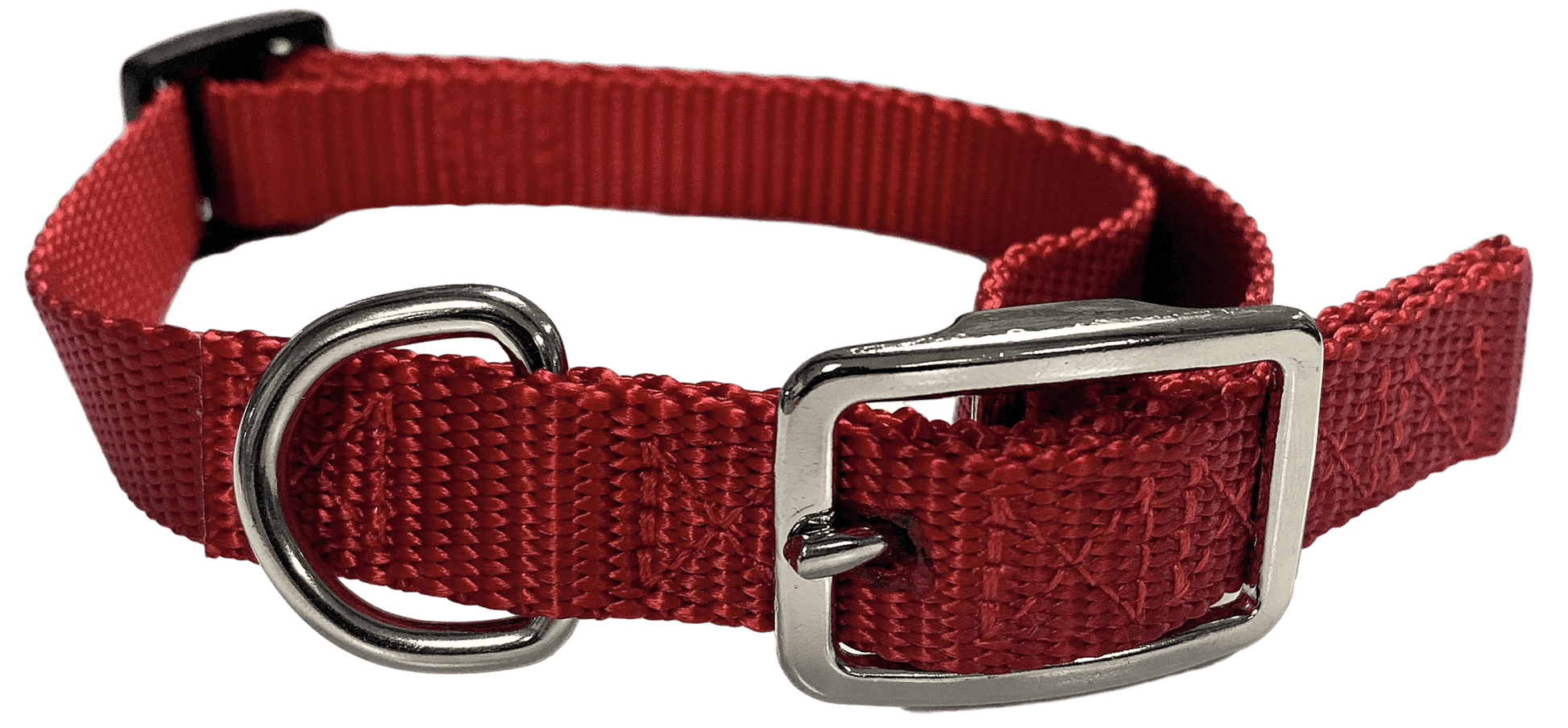 Large Flat Buckle Dog Collar (Adjustable) - McCann Professional Dog Trainers