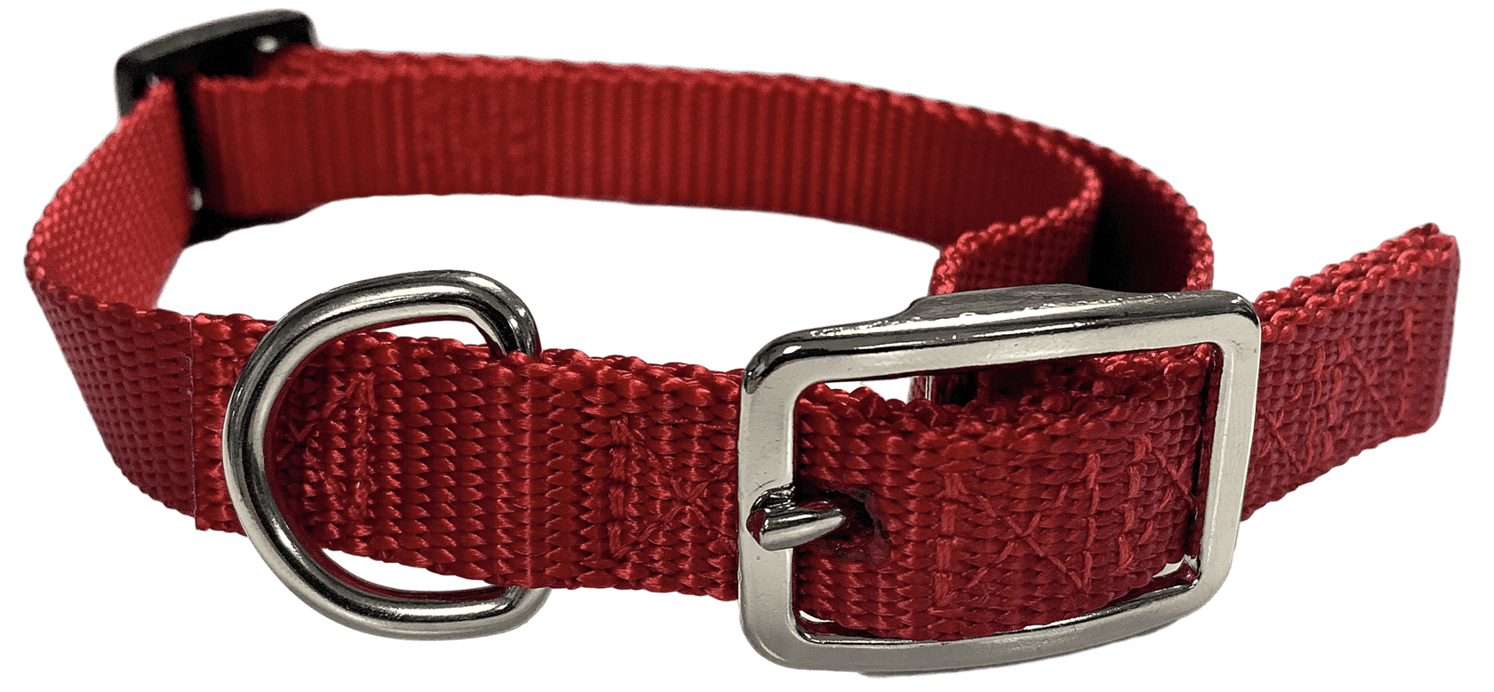 Flat Buckle Dog Collar (Adjustable) McCann Professional Dog Trainers