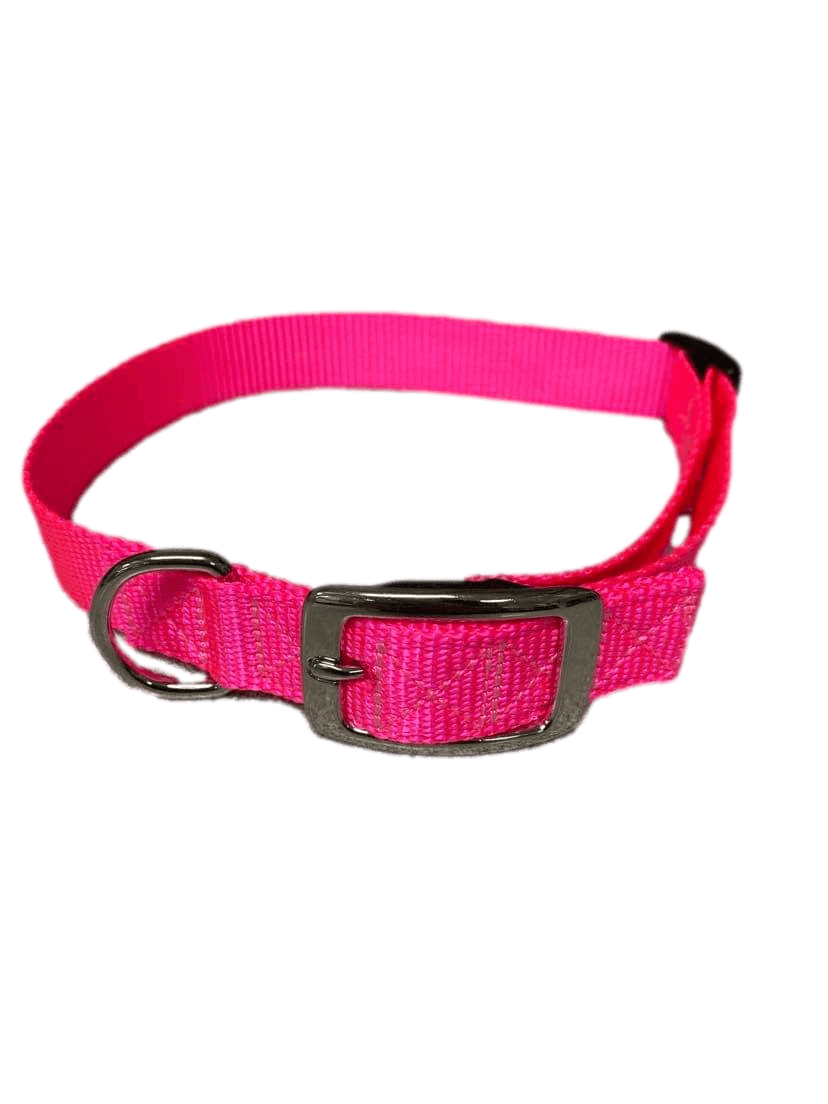 Large Flat Buckle Dog Collar (Adjustable) - McCann Professional Dog Trainers