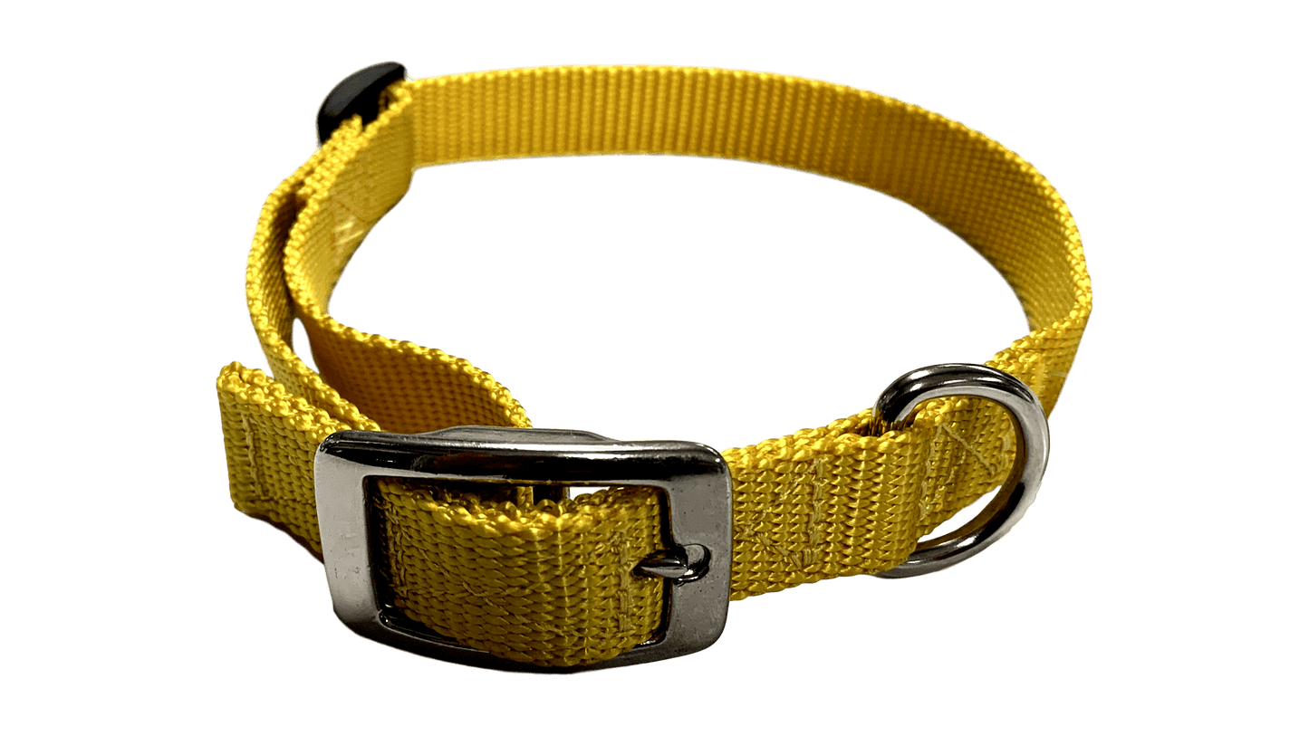 Large Flat Buckle Dog Collar (Adjustable) - McCann Professional Dog Trainers