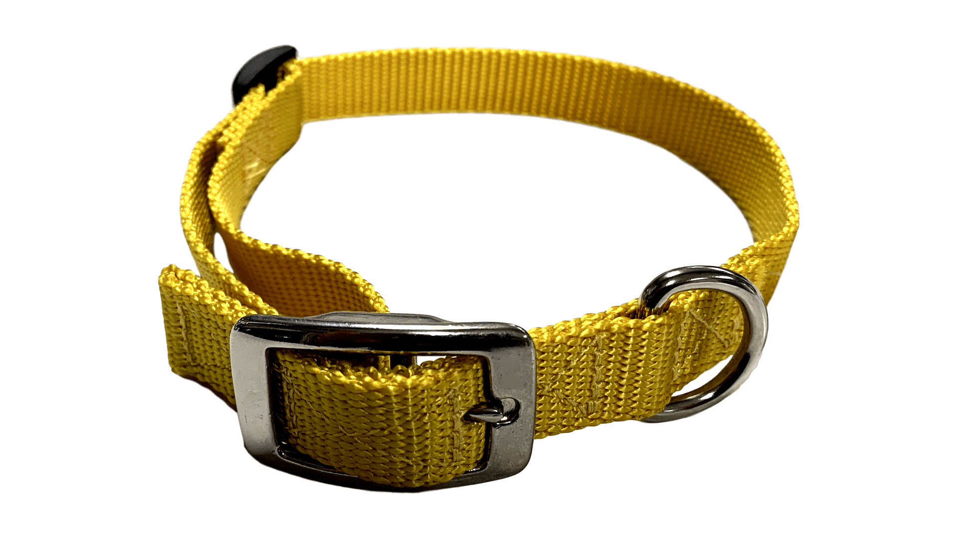 Flat buckle dog discount collar