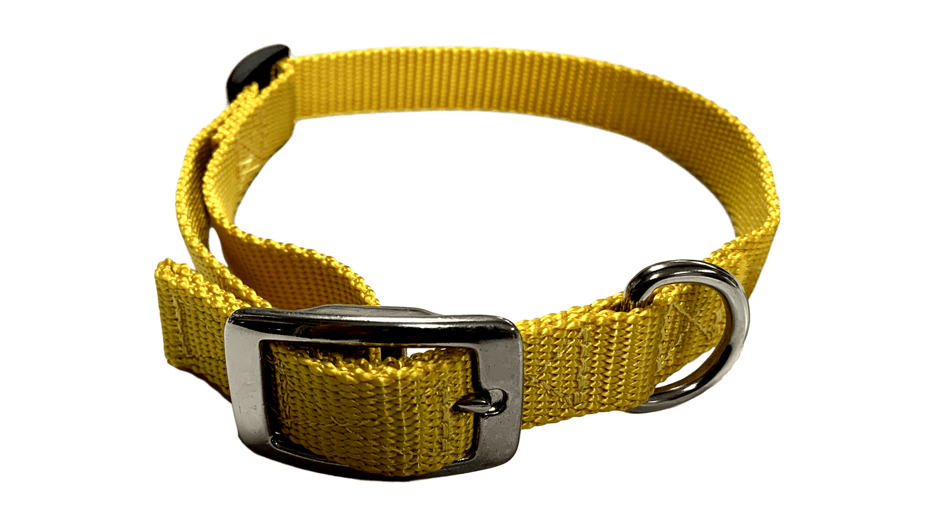 Flat Buckle Dog Collar (Adjustable) McCann Professional Dog Trainers