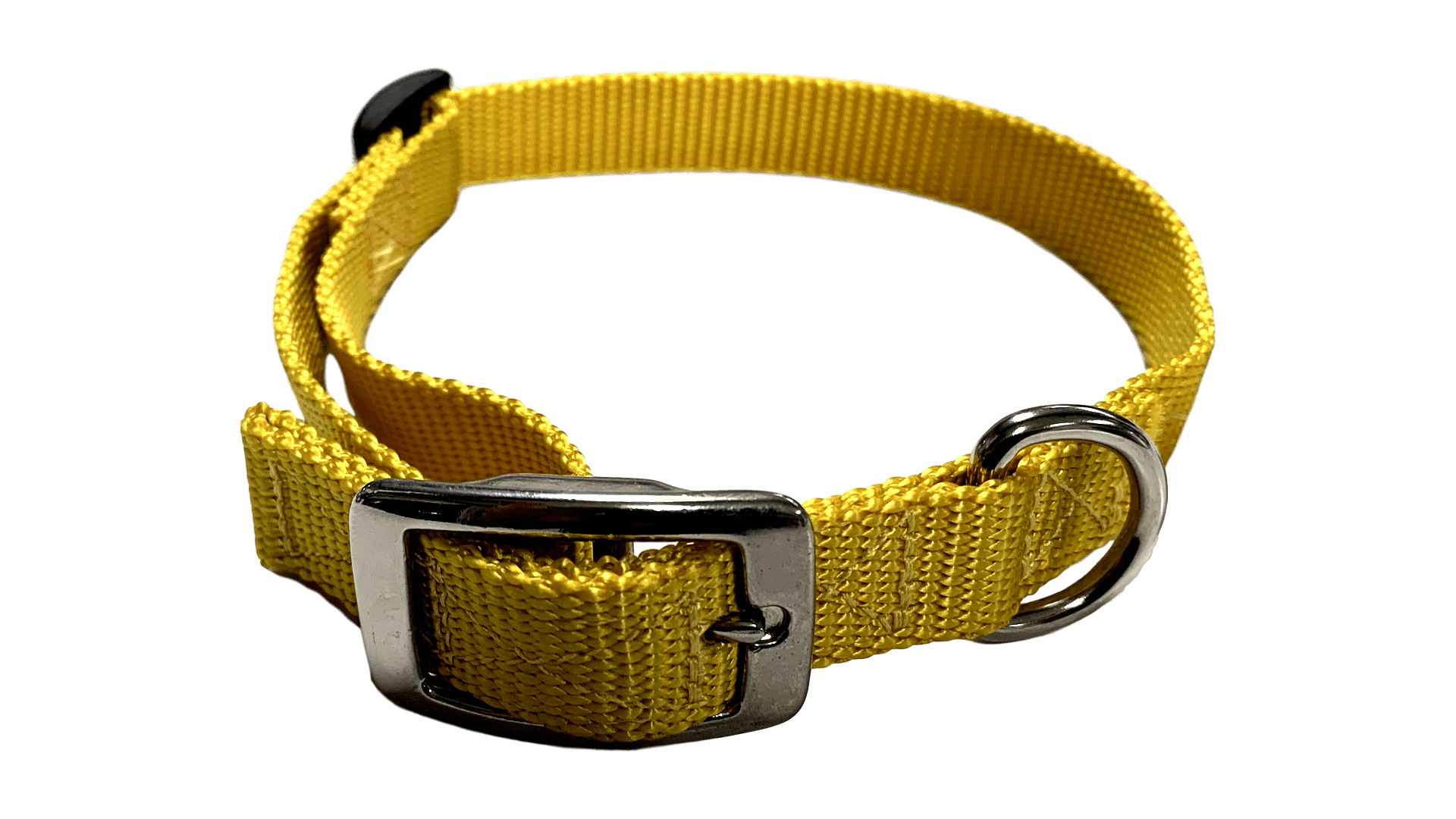 Large Flat Buckle Dog Collar (Adjustable) - McCann Professional Dog Trainers