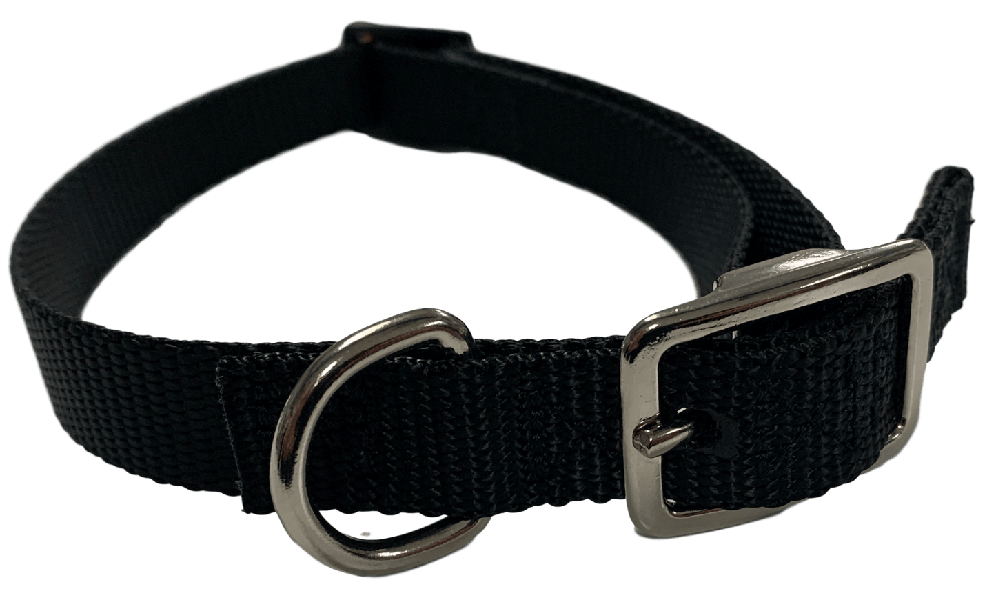 Large Flat Buckle Dog Collar (Adjustable) - McCann Professional Dog Trainers